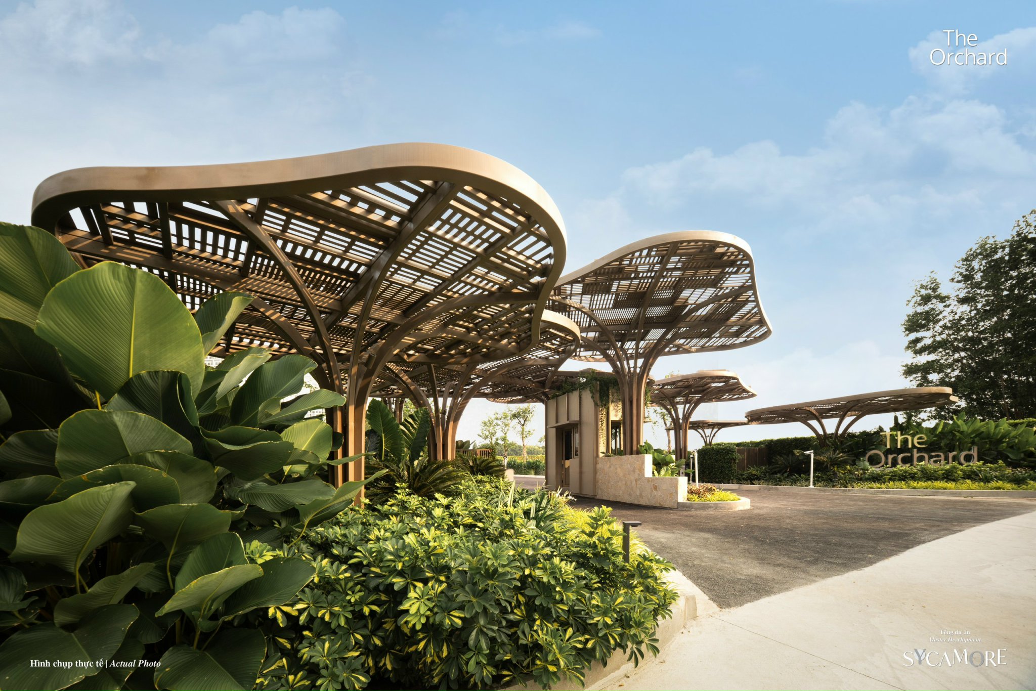 The Orchard Nha mau phan khu The Orchard Du an Sycamore