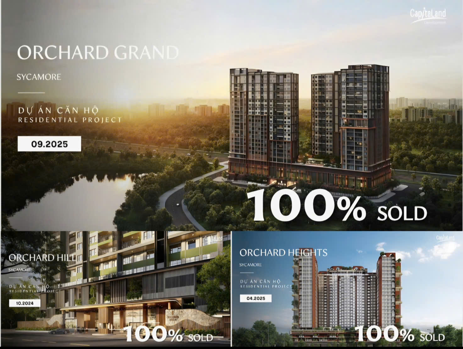 Orchard Collection Sycamore: Phân khu căn hộ hạng sang cuối cùng Dự án Orchard Collection - tỷ lệ hấp thụ từ các phân khu tiền nhiệm trong đại đô thị